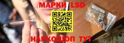 прущие грибы Новозыбков