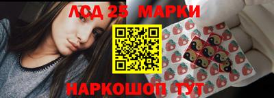прущие грибы Новозыбков