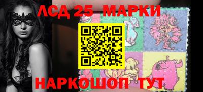 прущие грибы Новозыбков