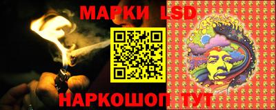 прущие грибы Новозыбков