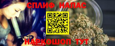 дмт Новокубанск