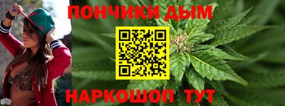 прущие грибы Новозыбков