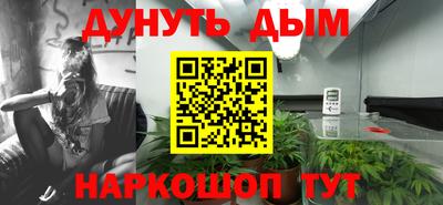 дмт Новокубанск