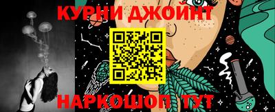 прущие грибы Новозыбков