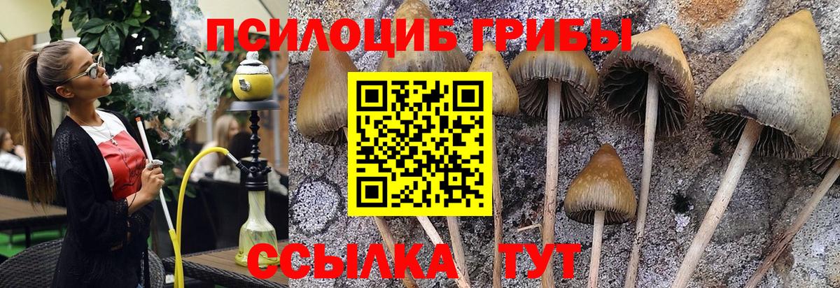 Галлюциногенные грибы MAGIC MUSHROOMS  Вход с VPN  цены наркотик  Заринск 
